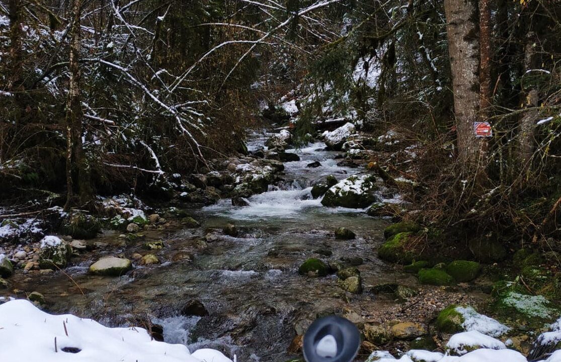 Photo of Others in Saint-Pierre-de-Chartreuse