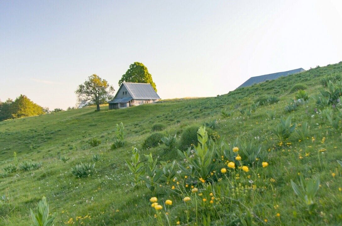 Photo of Outdoor in Saint-Pierre-de-Chartreuse