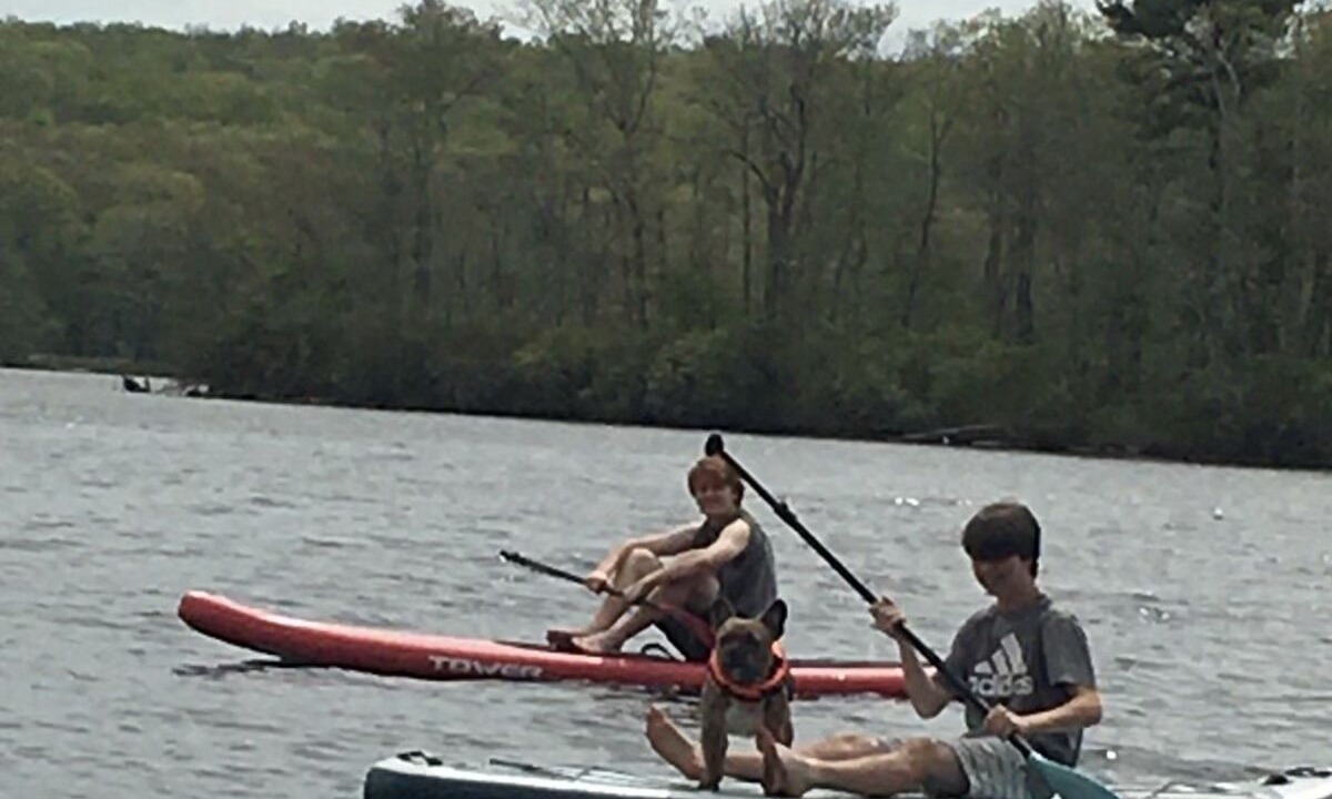 Photo of Others in Lebanon