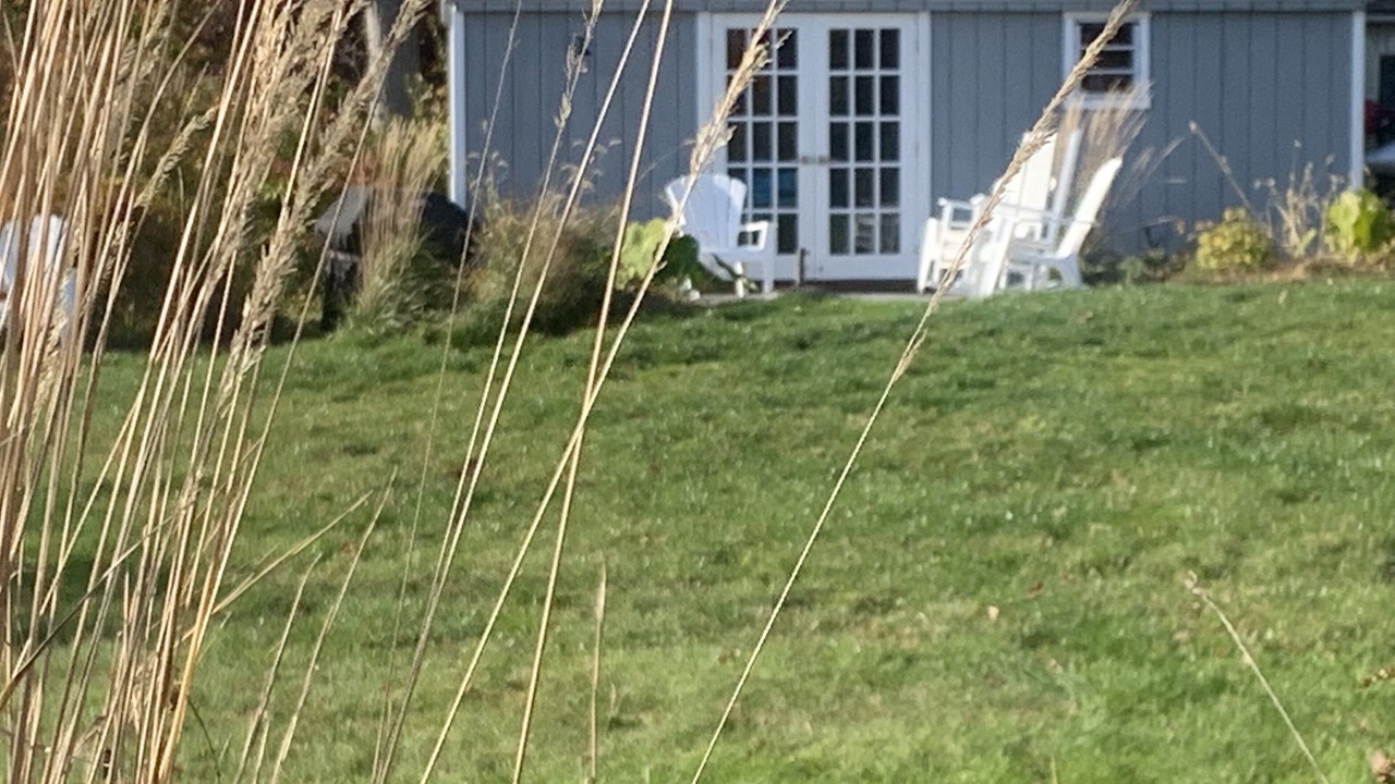 Photo of Others in Lebanon