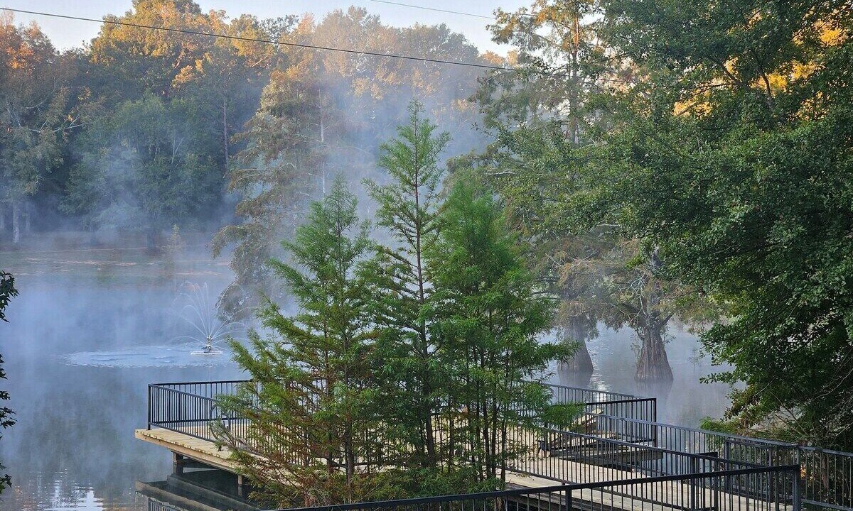 Photo of Outdoor in McComb