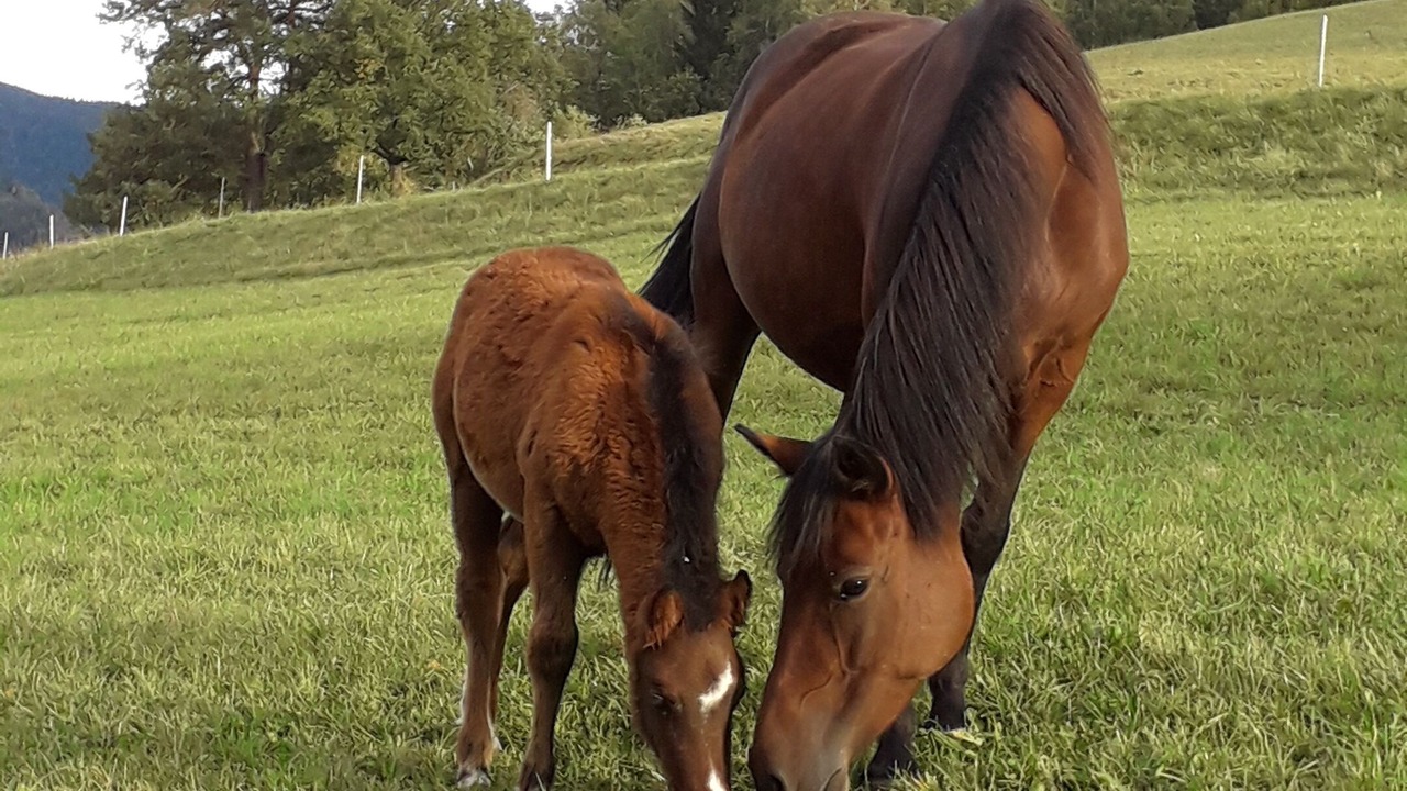 Photo of Outdoor in Saint-Maurice-sur-Moselle