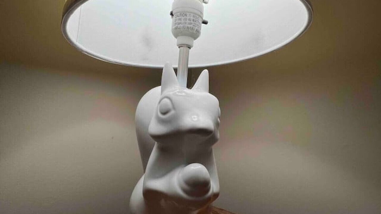 Photo of Others in Big Indian