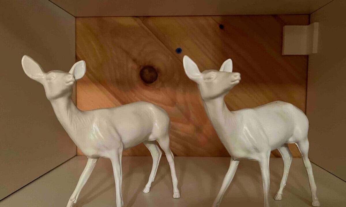 Photo of Others in Big Indian