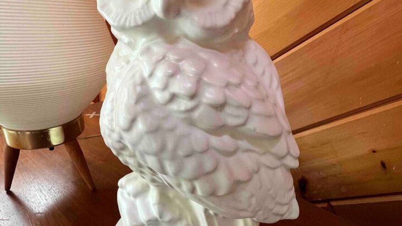 Photo of Others in Big Indian