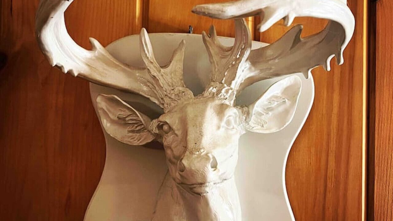 Photo of Others in Big Indian