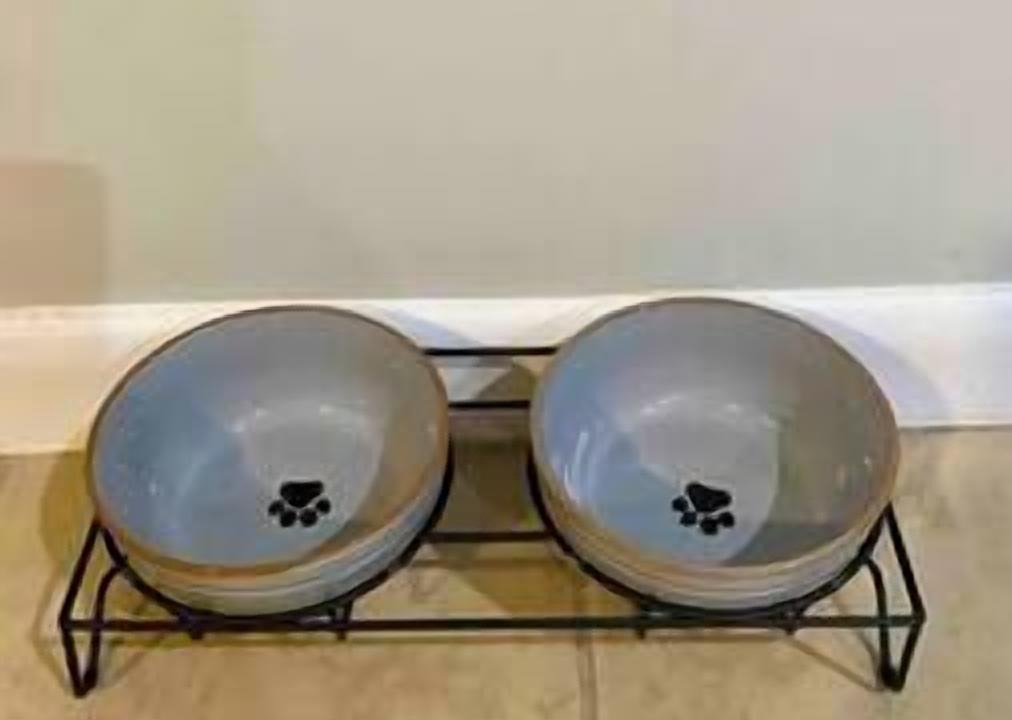 Photo of Others in Greenville