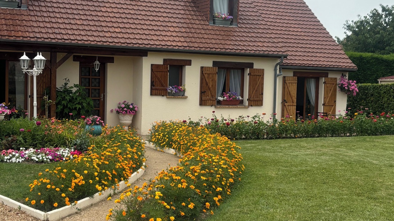 Photo of Outdoor in Saint-Martin-le-Beau