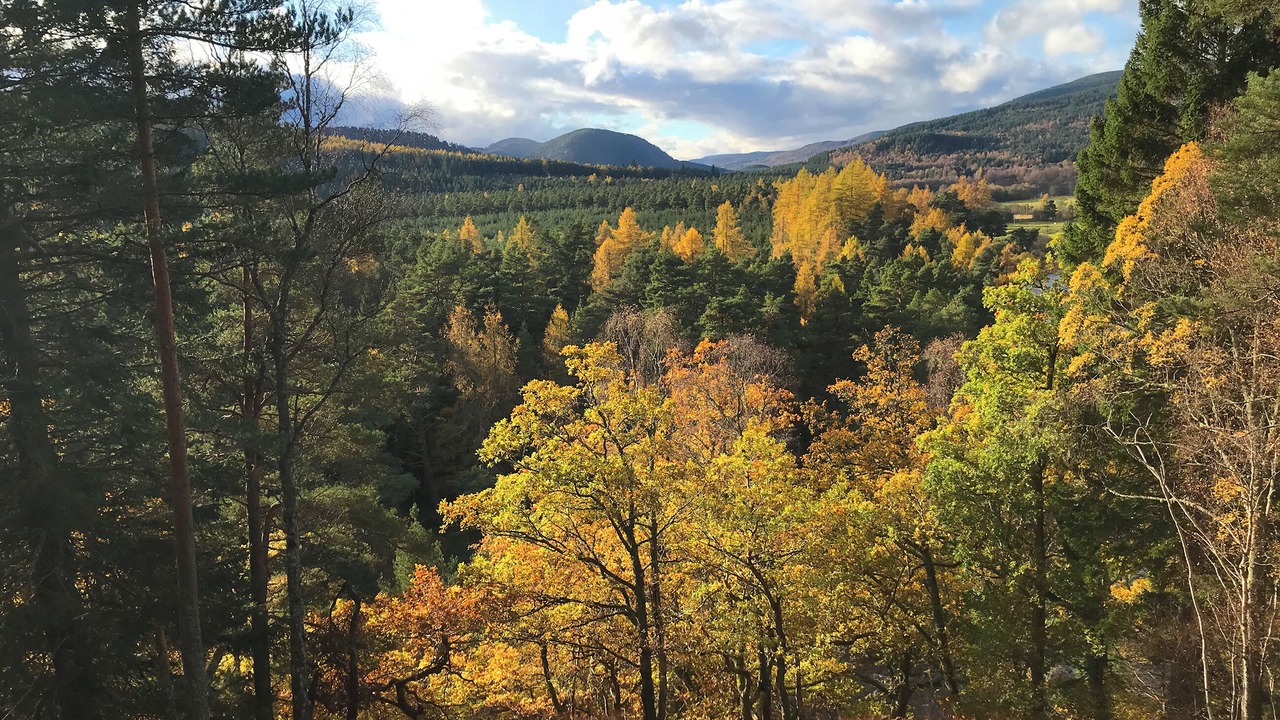 Photo of Others in Ballater