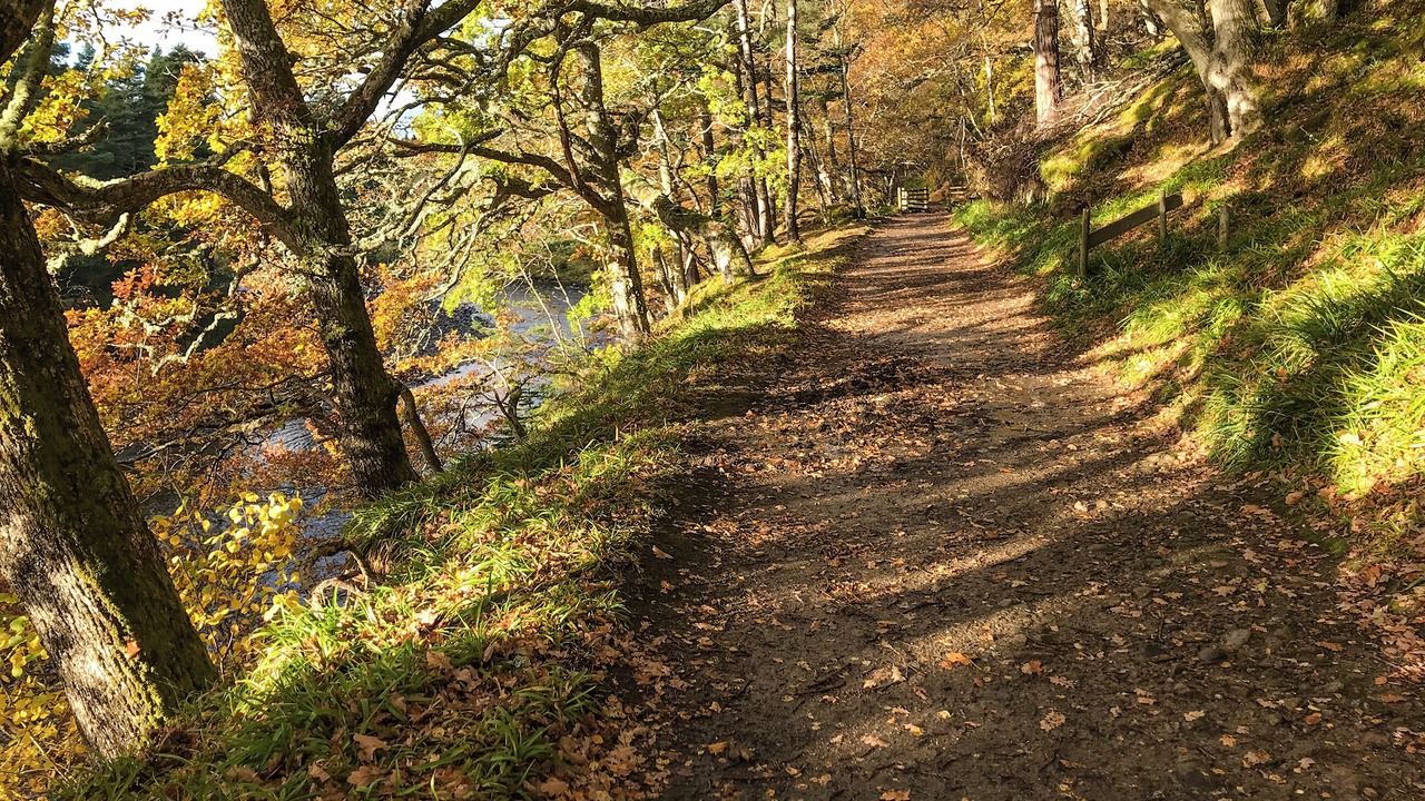 Photo of Others in Ballater