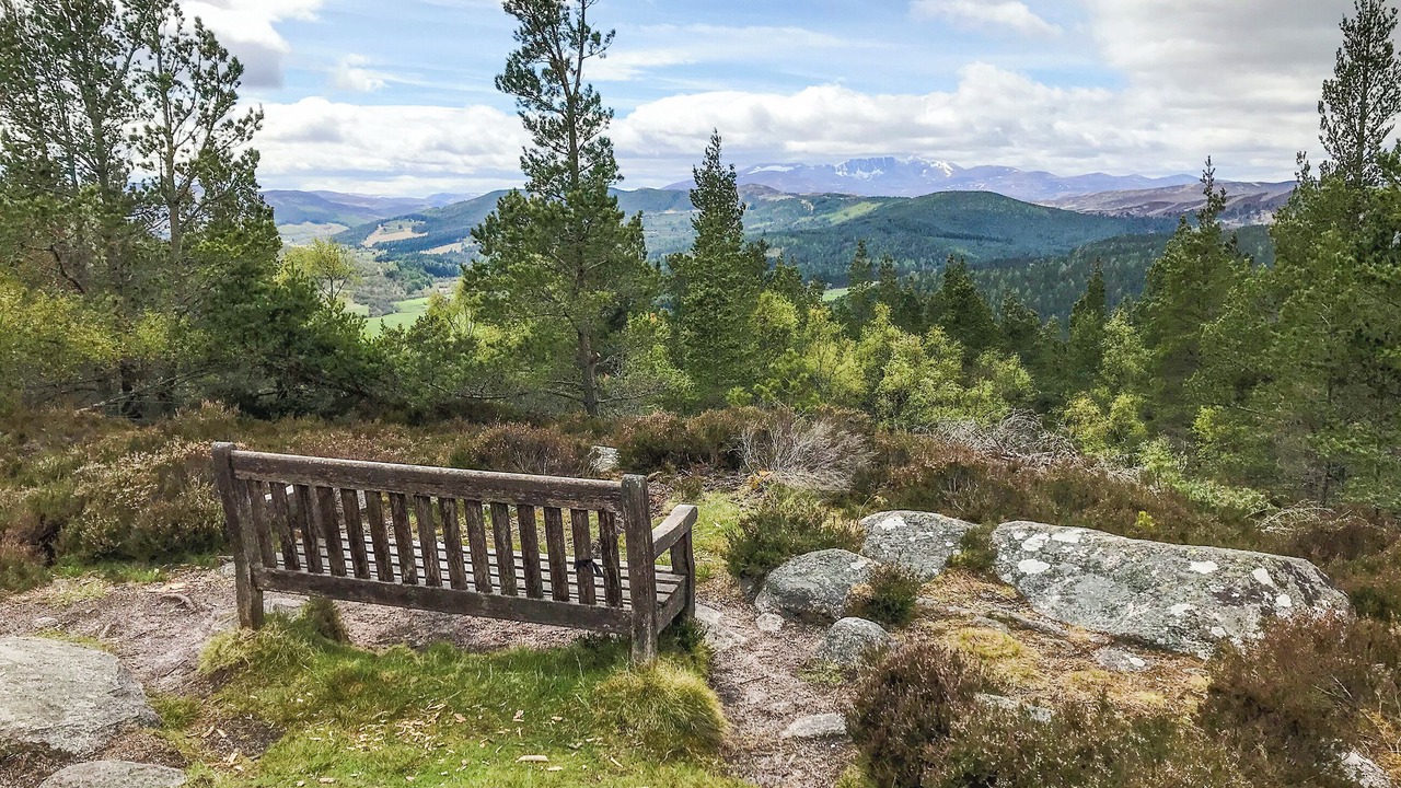 Photo of Others in Ballater