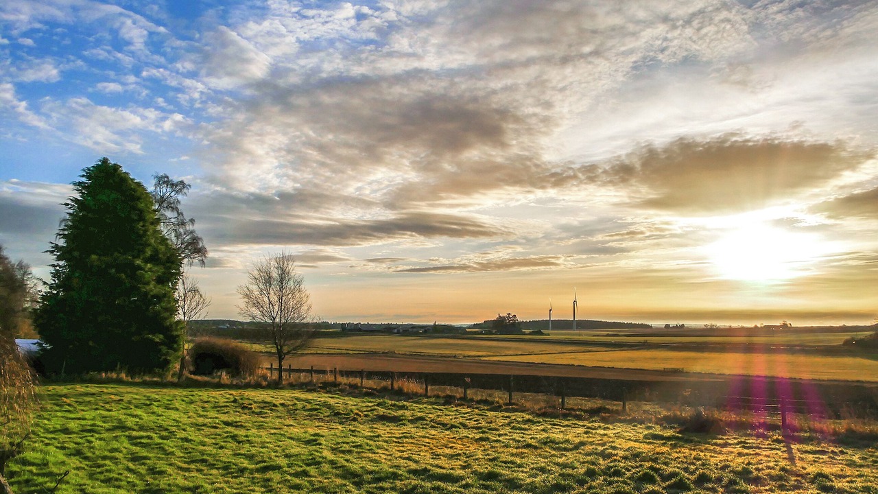 Photo of Others in Ballater