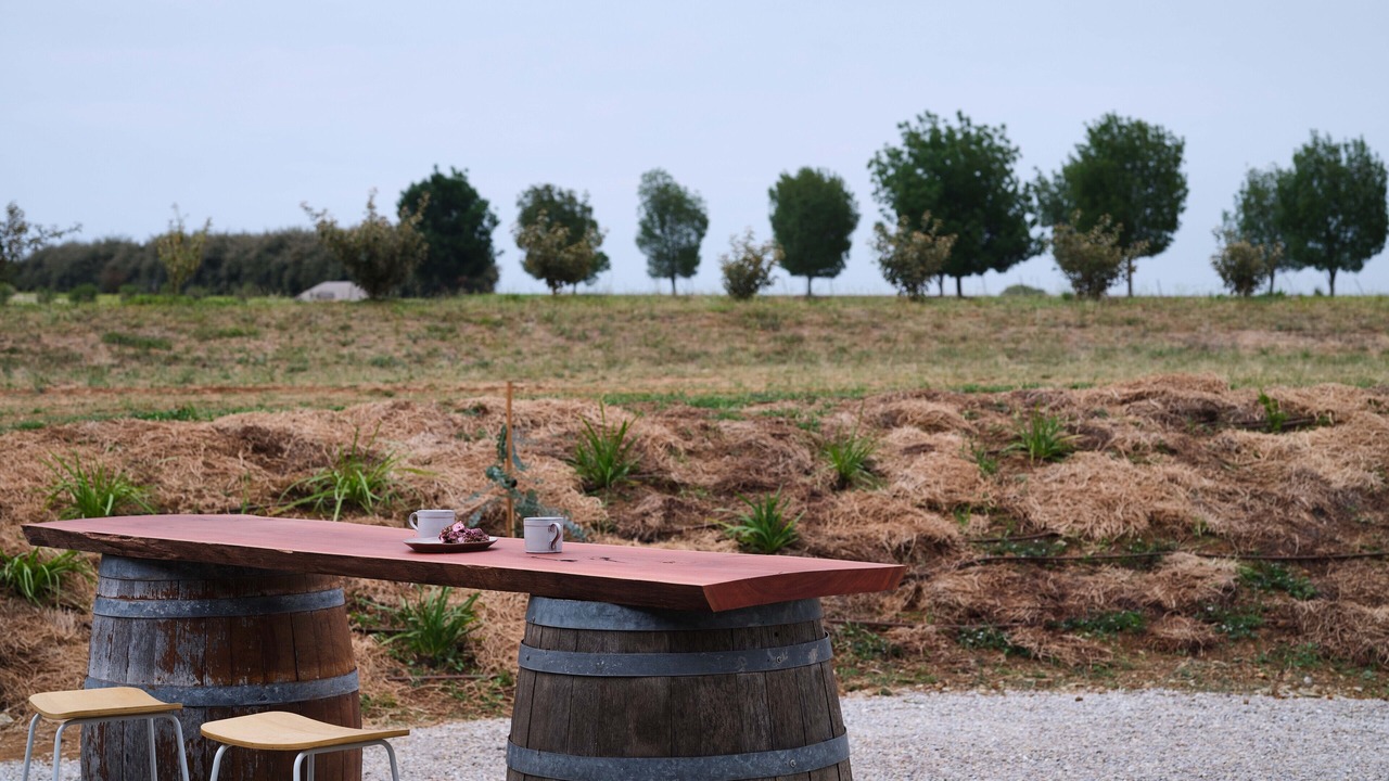 Photo of Outdoor in Bombira