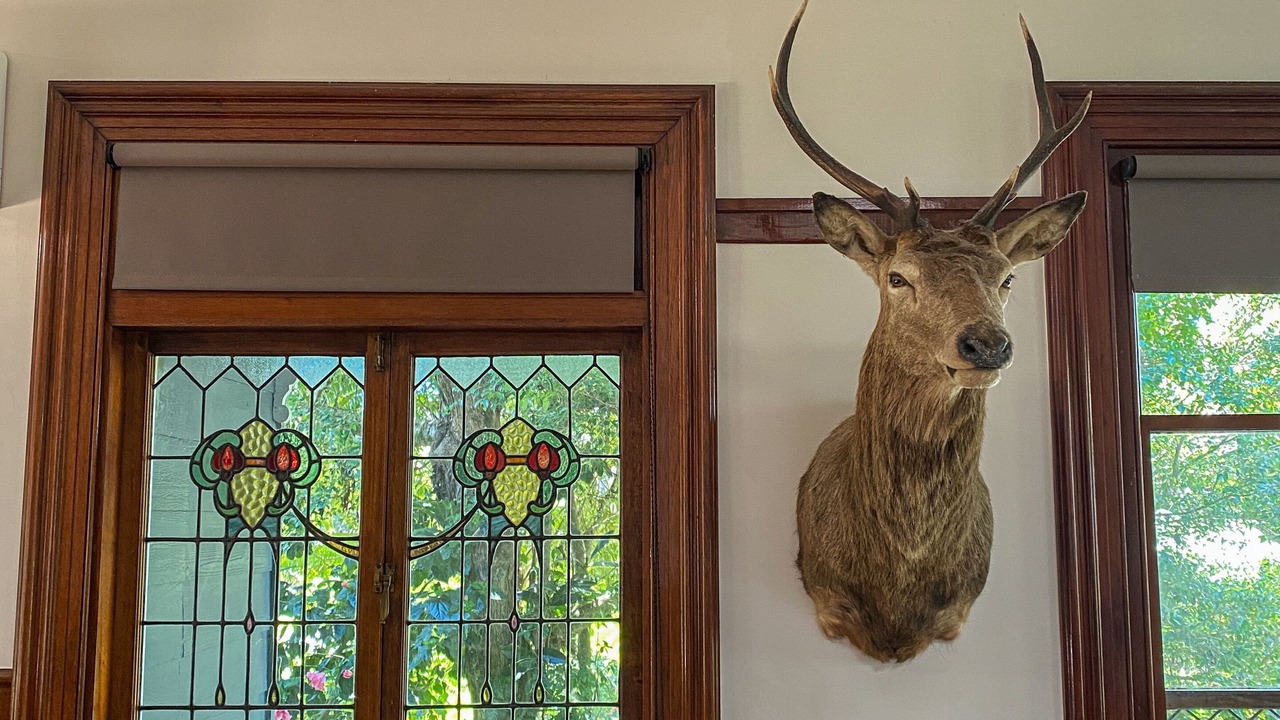 Photo of Others in Eagle Heights