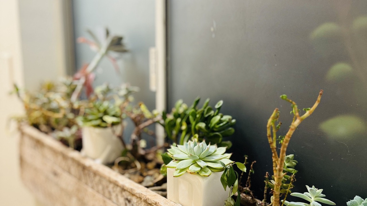 Photo of Others in Central Sacramento