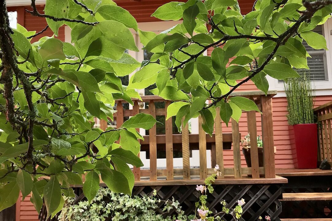 Photo of Outdoor in Boyes Hot Springs