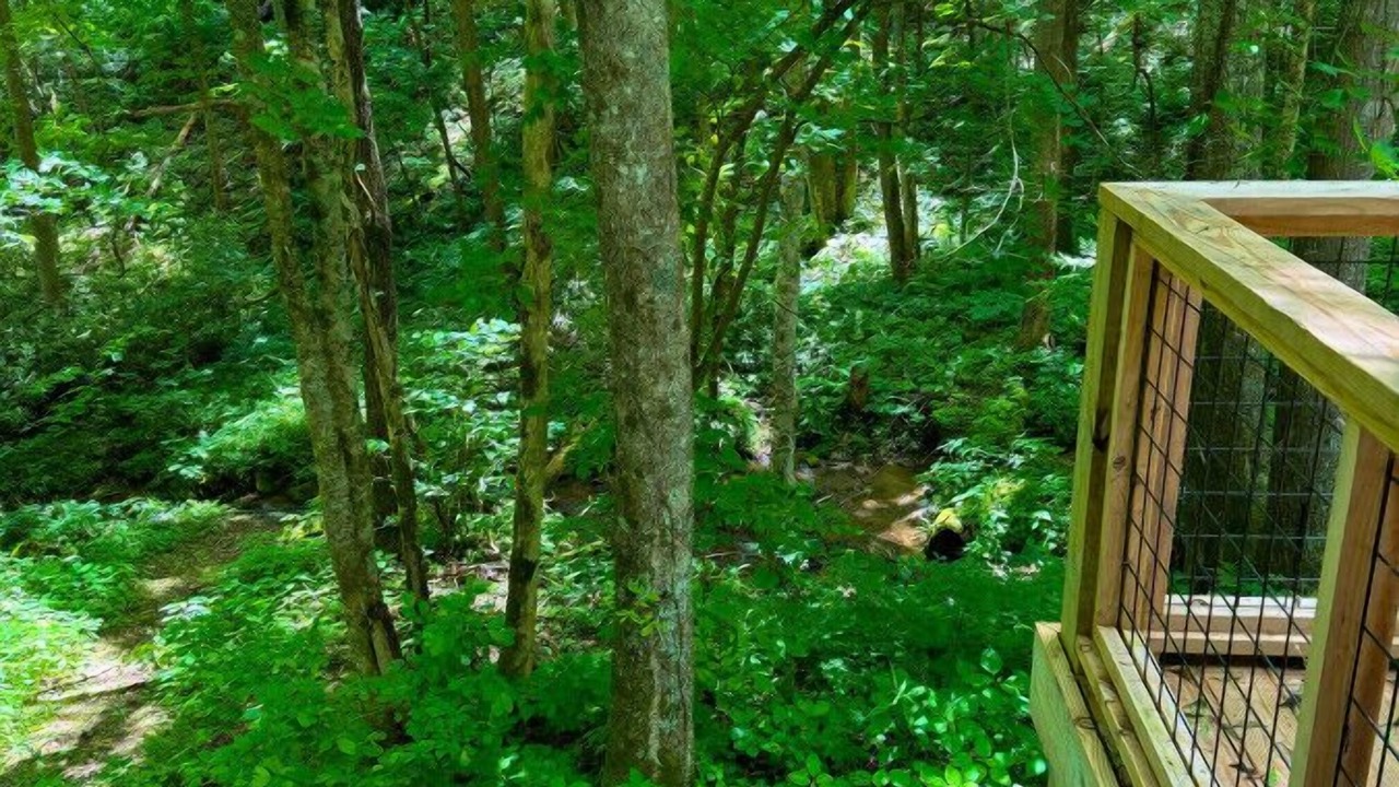 Photo of Outdoor in Hot Springs