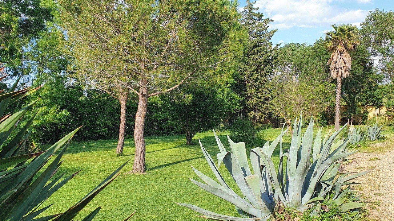 Photo of Outdoor in Narbonne