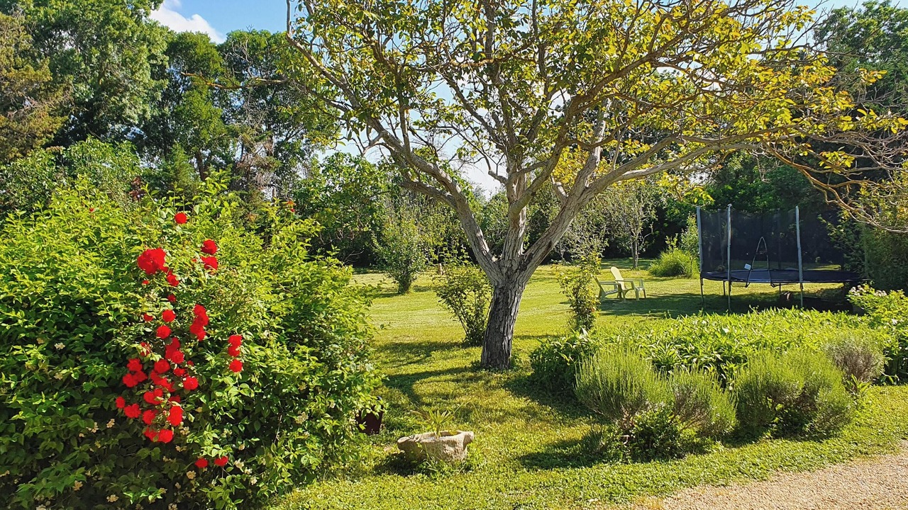 Photo of Outdoor in Narbonne