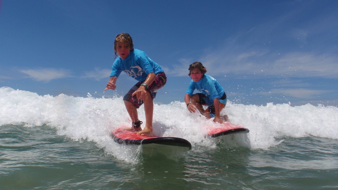 Photo of Others in Nelson Bay