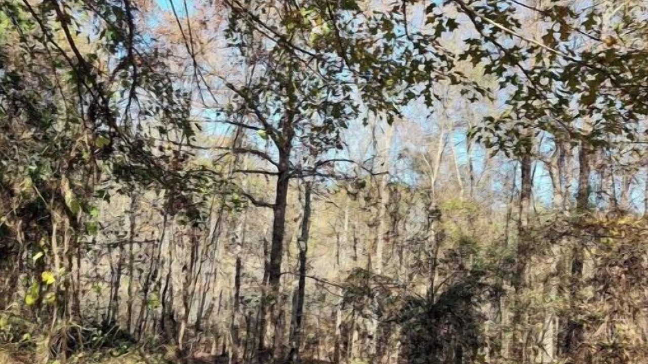 Photo of Others in Newnan