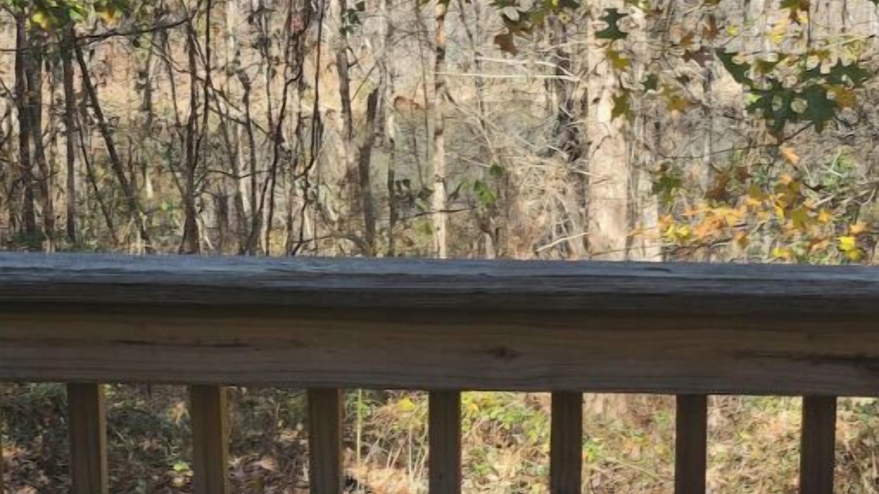 Photo of Outdoor in Newnan