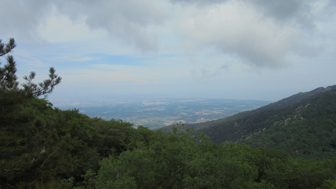 Photo of Others in Laroque-des-Alberes