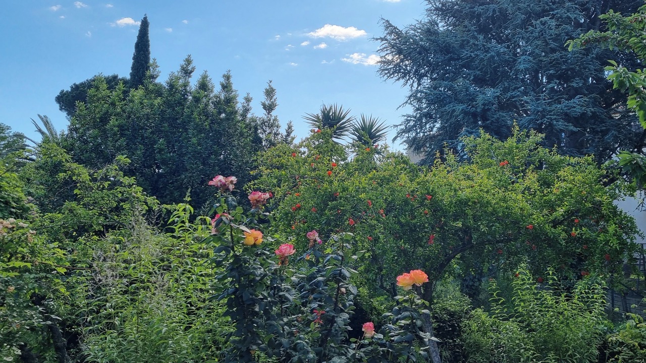 Photo of Outdoor in Laroque-des-Alberes