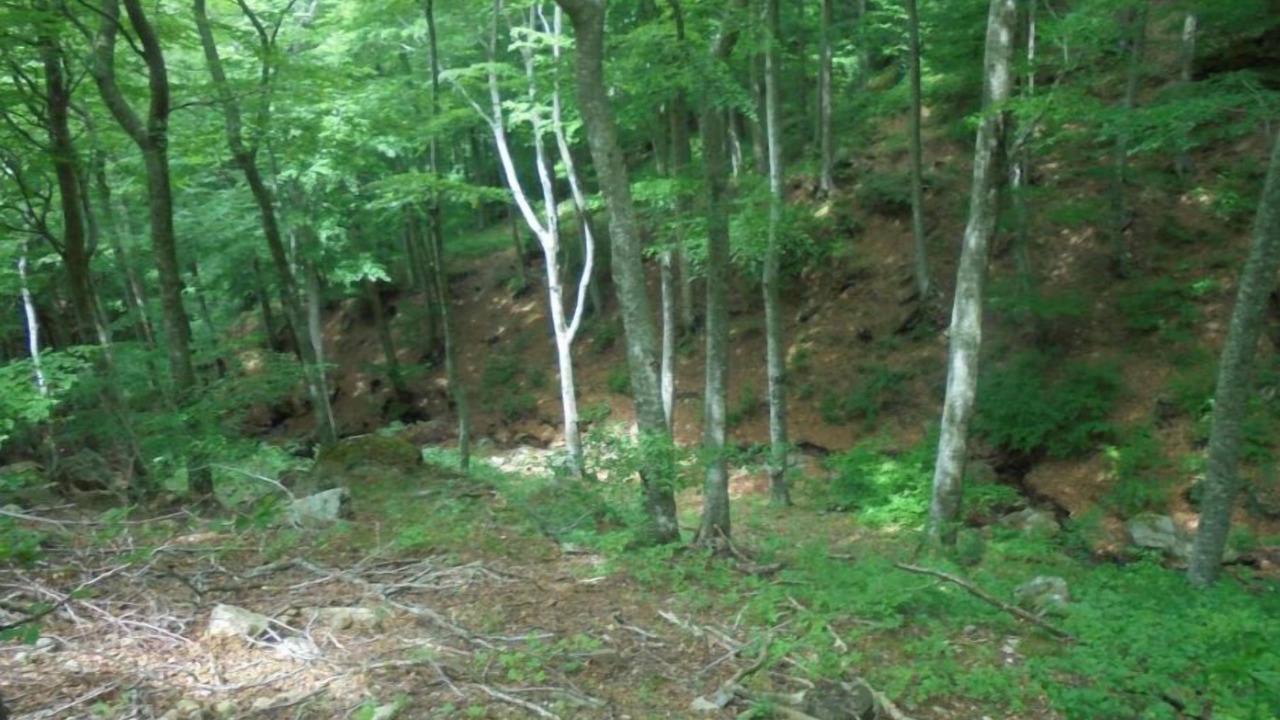 Photo of Outdoor in Laroque-des-Alberes