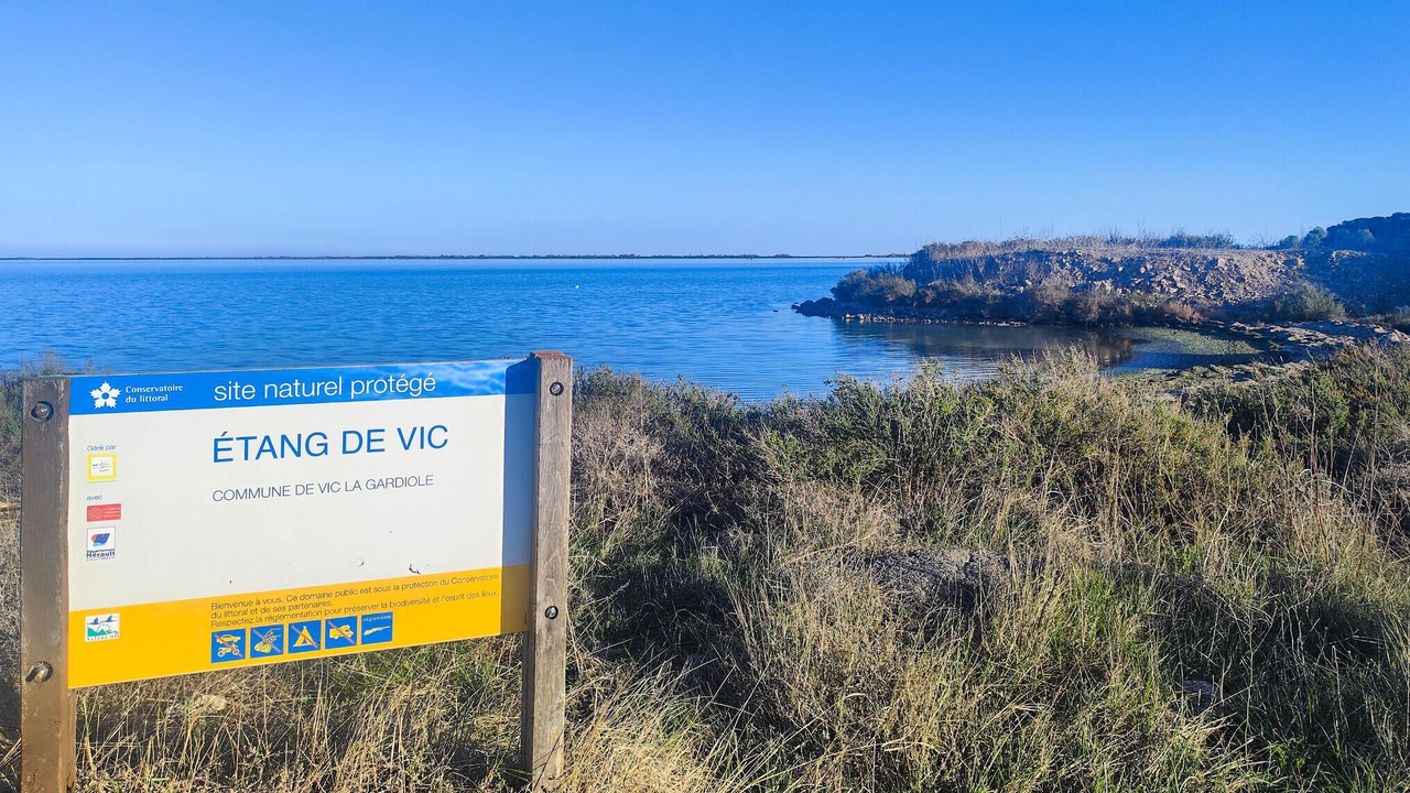 Photo of Others in Vic-la-Gardiole