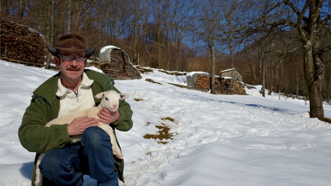 Photo of Others in Ferdrupt