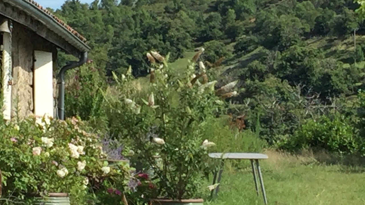 Photo of Outdoor in Saint-Cierge-la-Serre