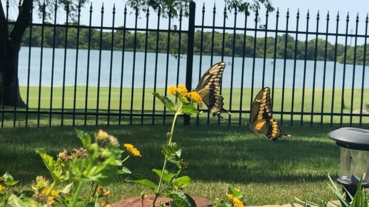 Photo of Outdoor in Frisco
