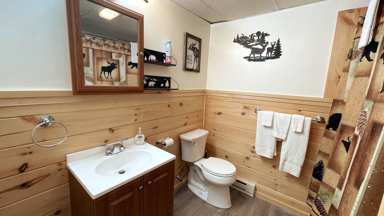 Photo of Bathroom in Town of Webb