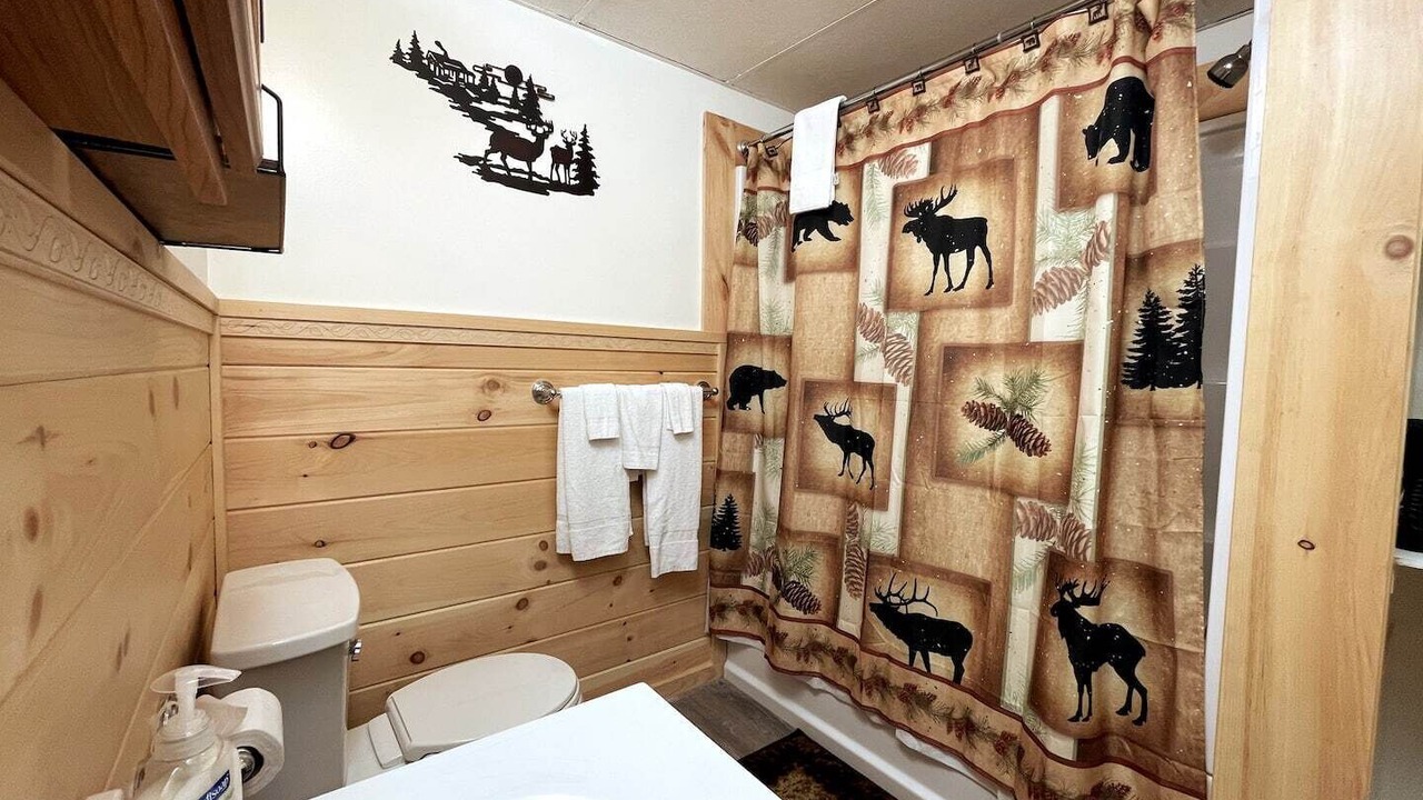 Photo of Bathroom in Town of Webb