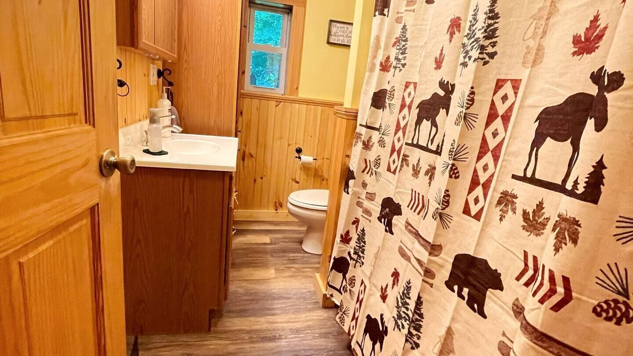 Photo of Bathroom in Town of Webb