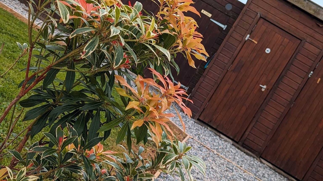 Photo of Bathroom in Mount Hawke