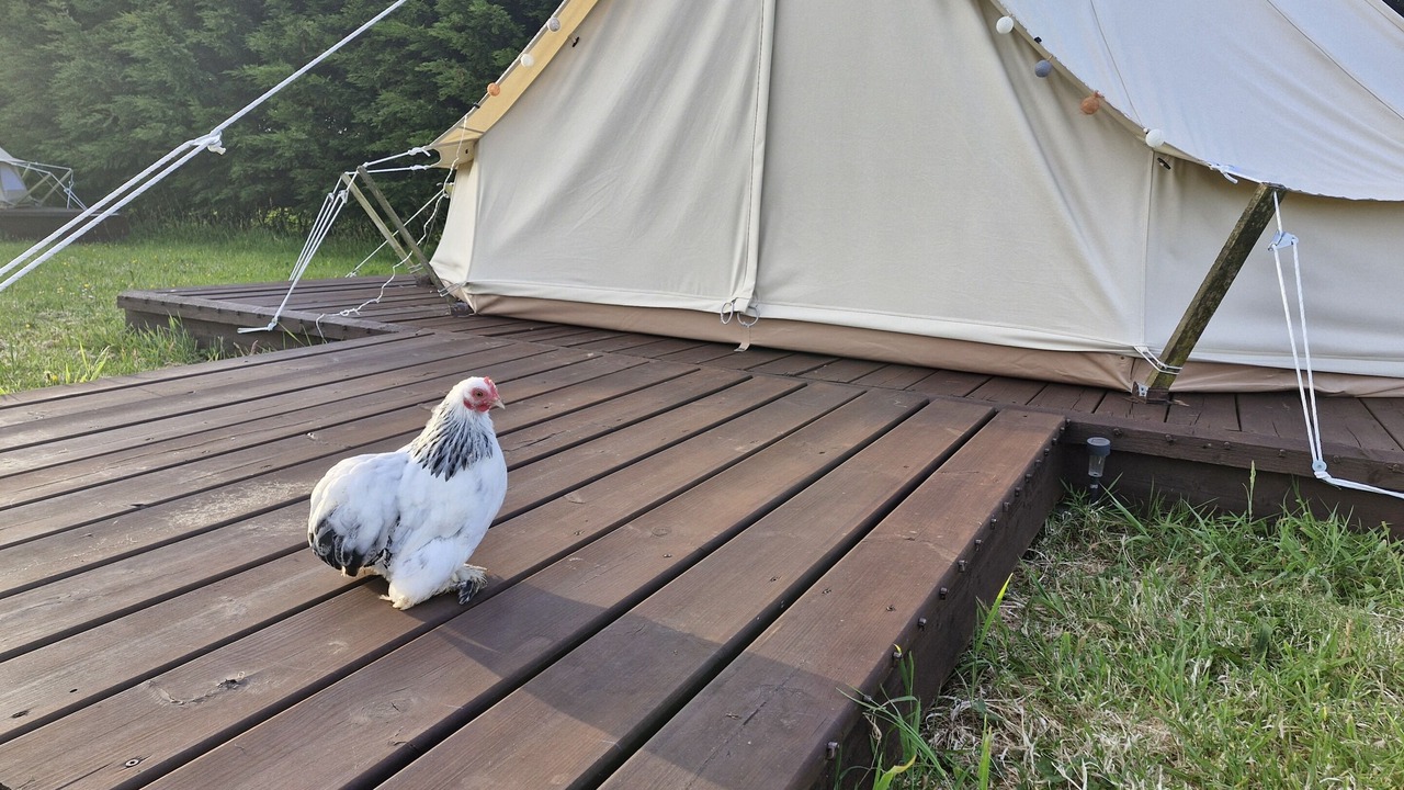 Photo of Others in Mount Hawke