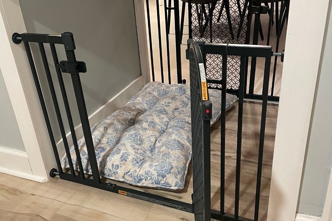 Photo of Others in Southeast Salem