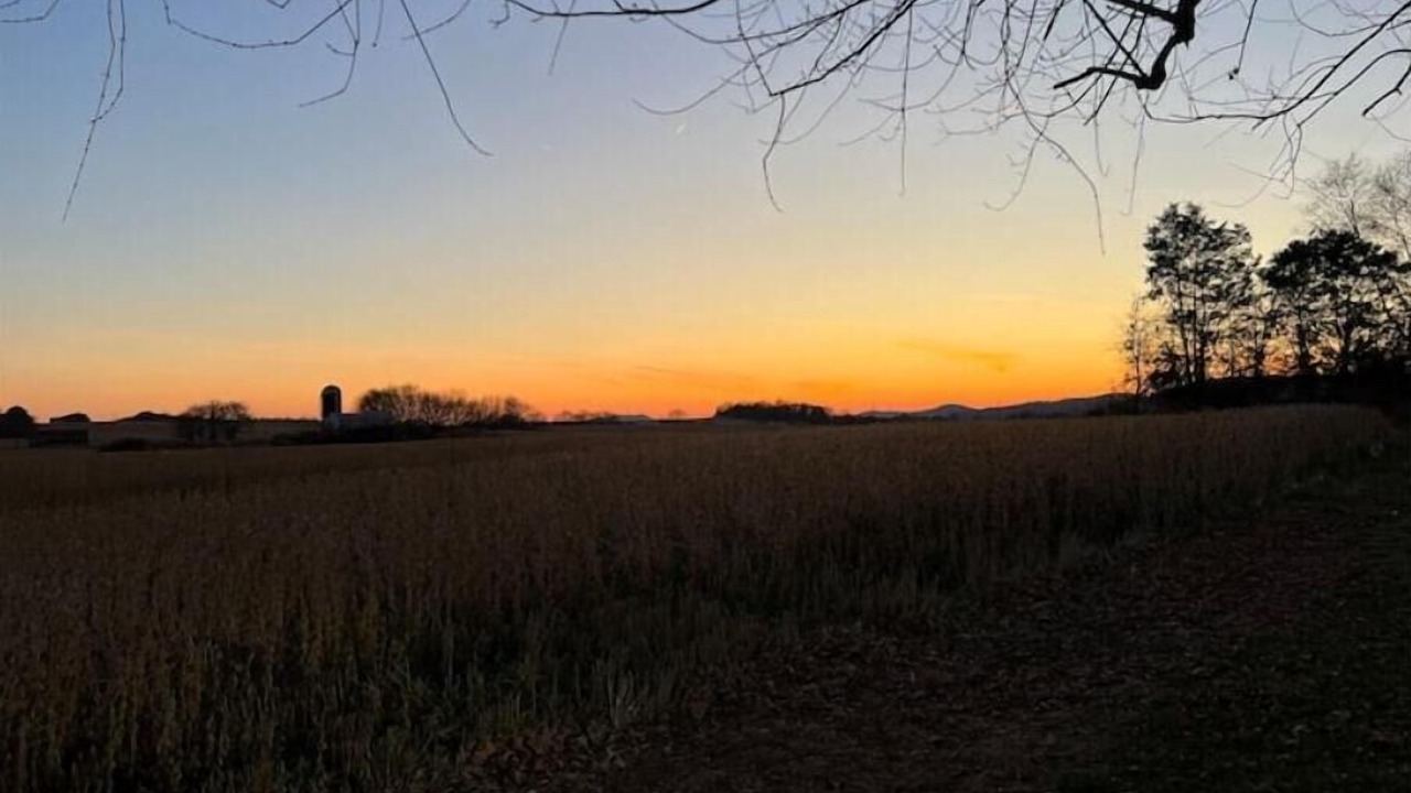 Photo of Outdoor in Horse Cave