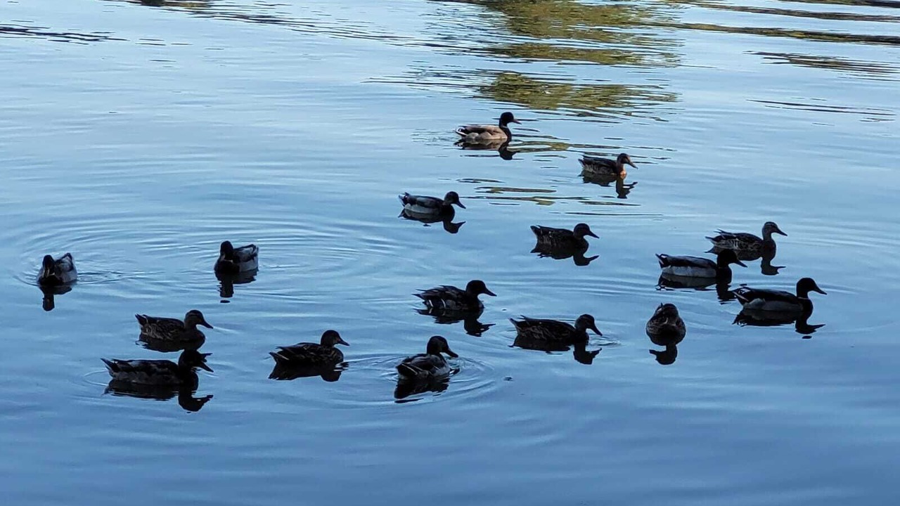 Photo of Others in Onalaska