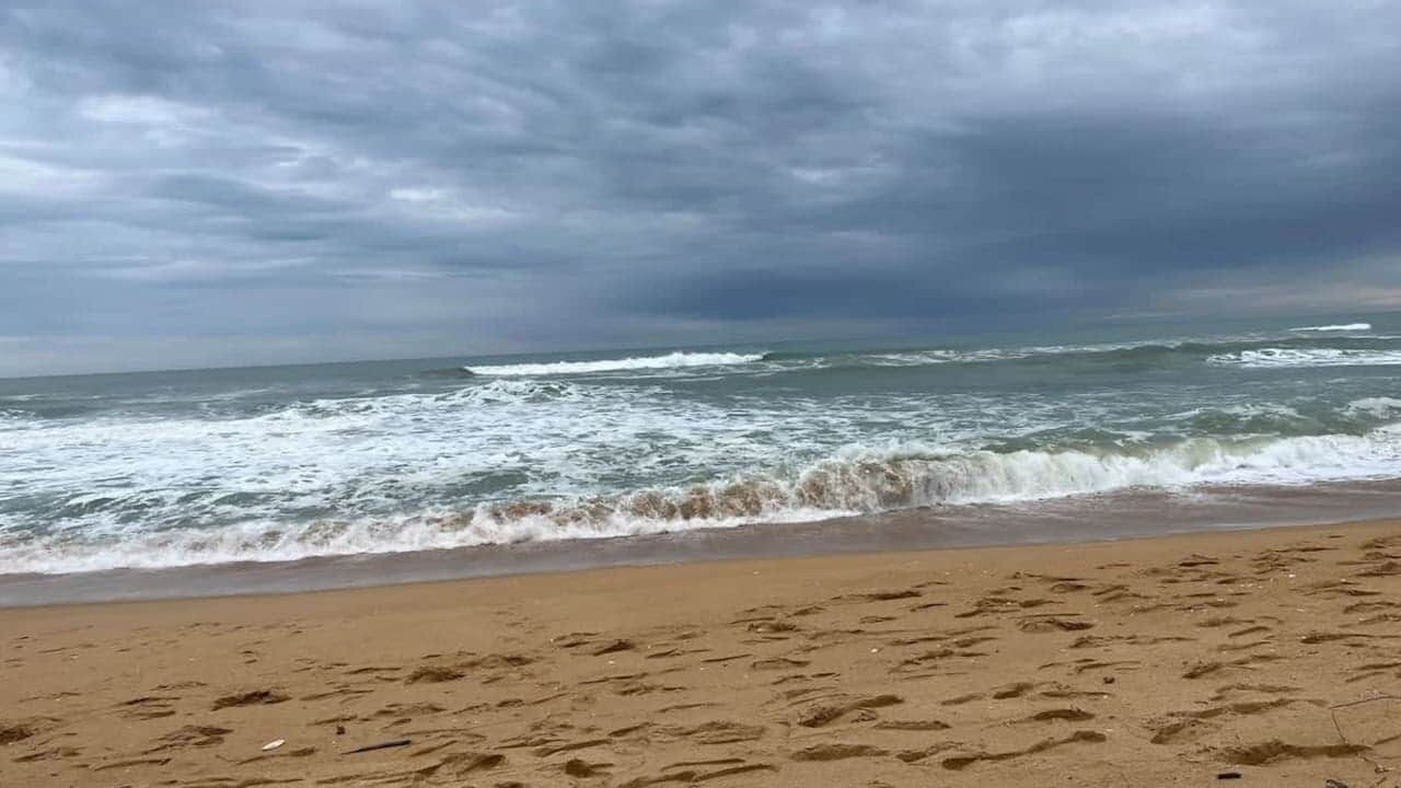 Photo of Others in Paradise Beach