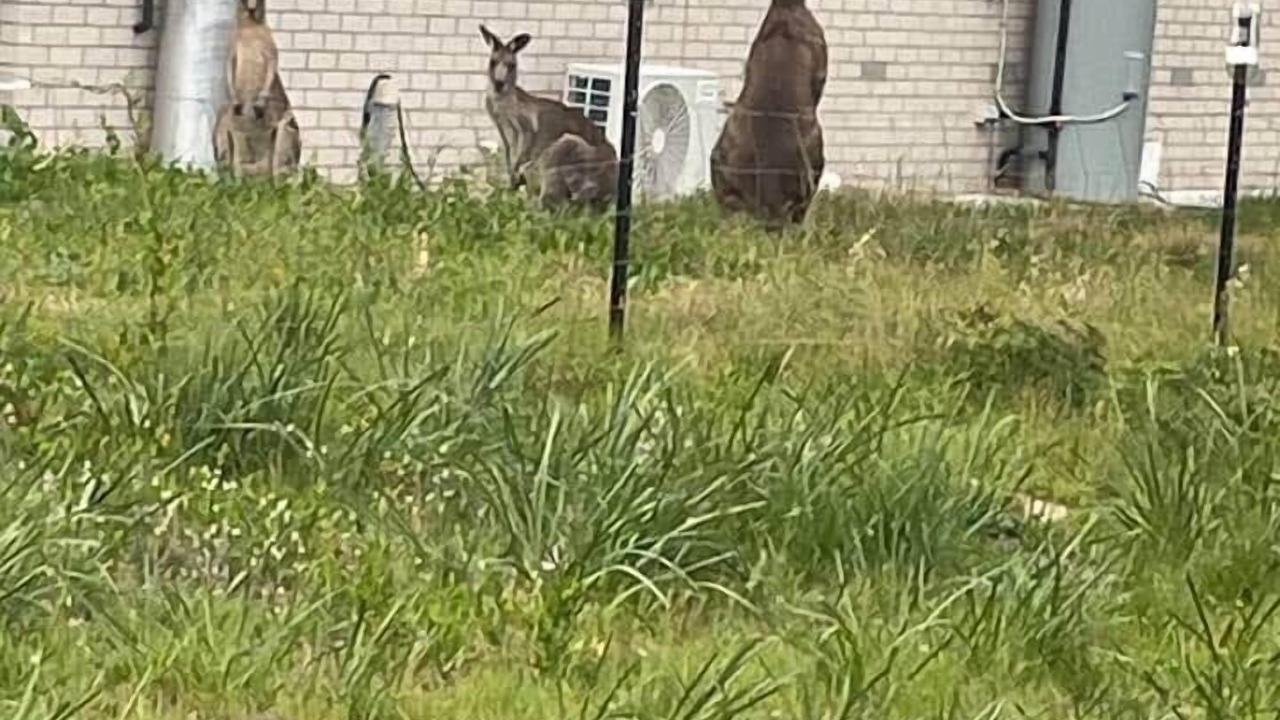 Photo of Outdoor in Paradise Beach