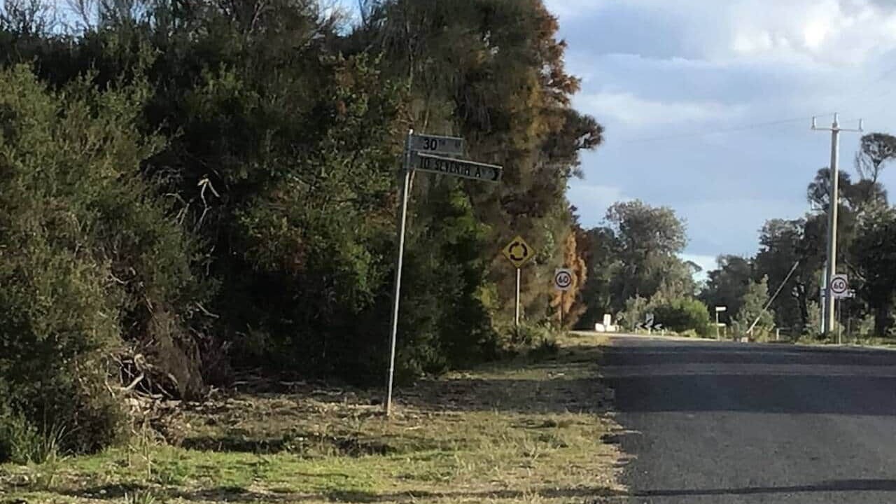 Photo of Others in Paradise Beach