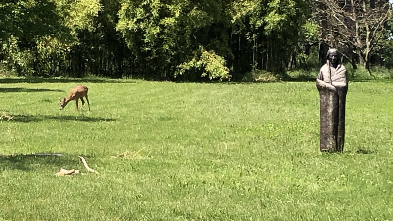 Photo of Others in Voussac