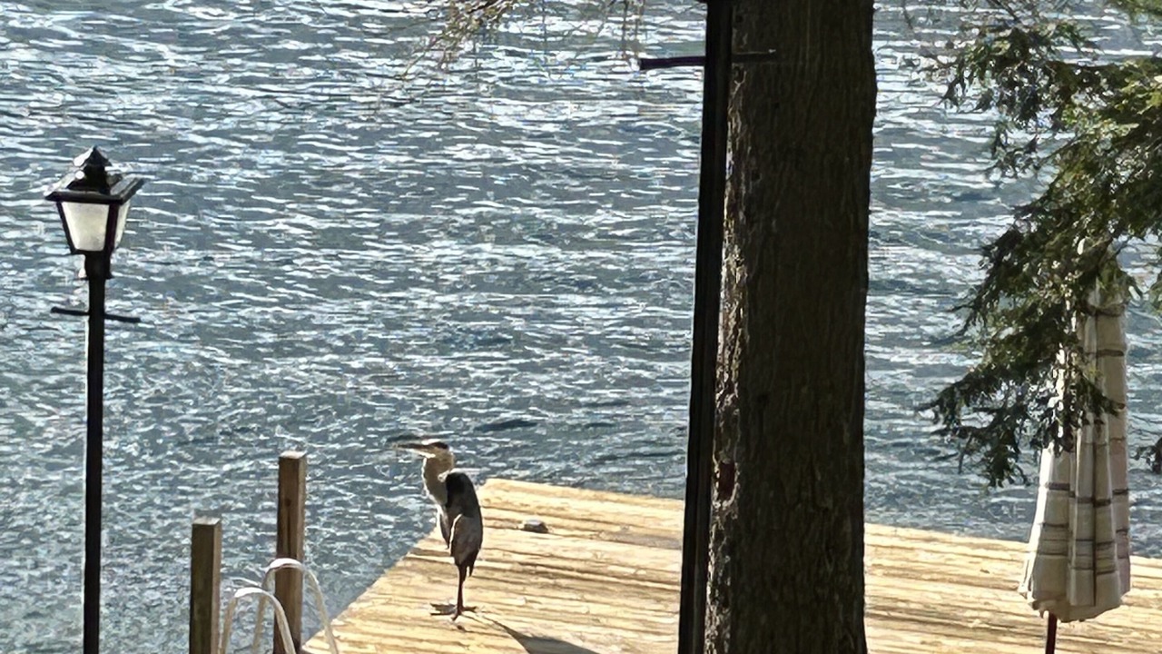 Photo of Outdoor in Huletts Landing