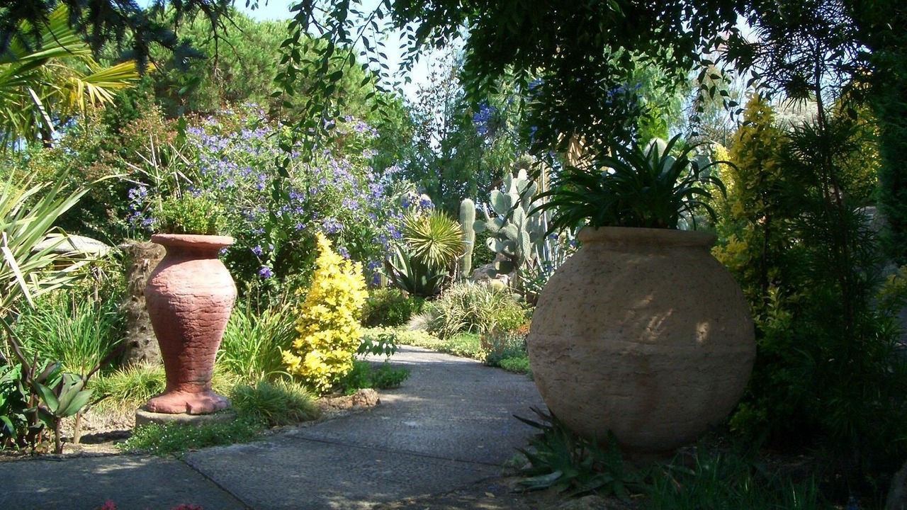 Photo of Outdoor in Tordera