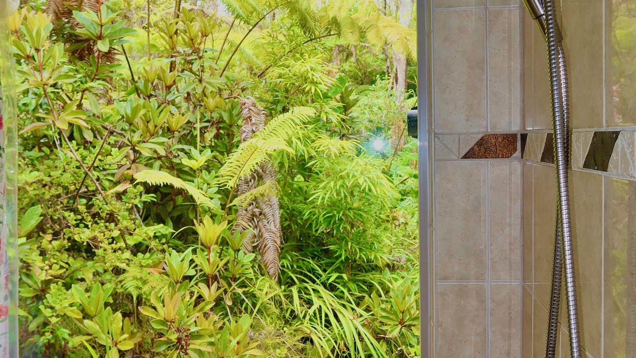 Photo of Bathroom in Volcano