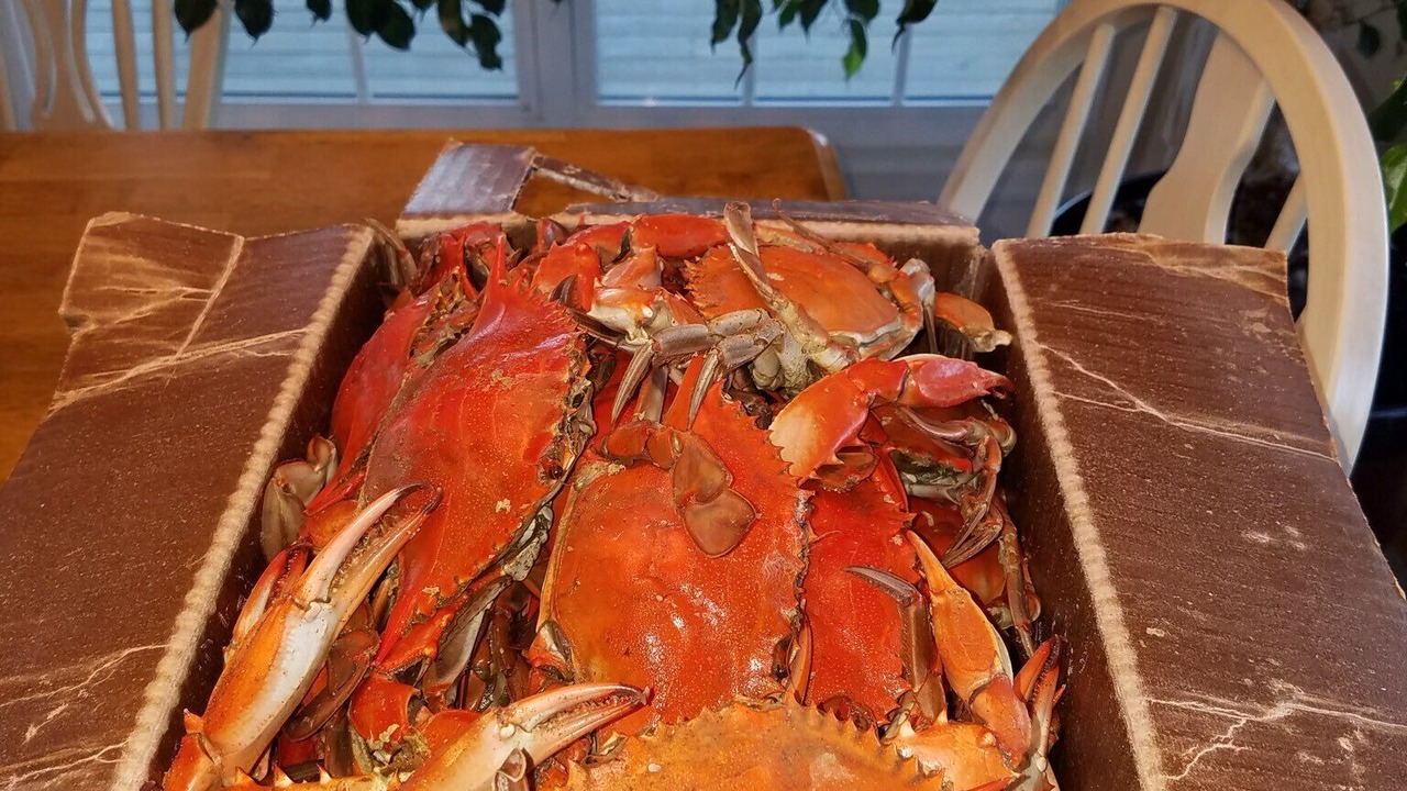 Photo of Others in Mount Holly