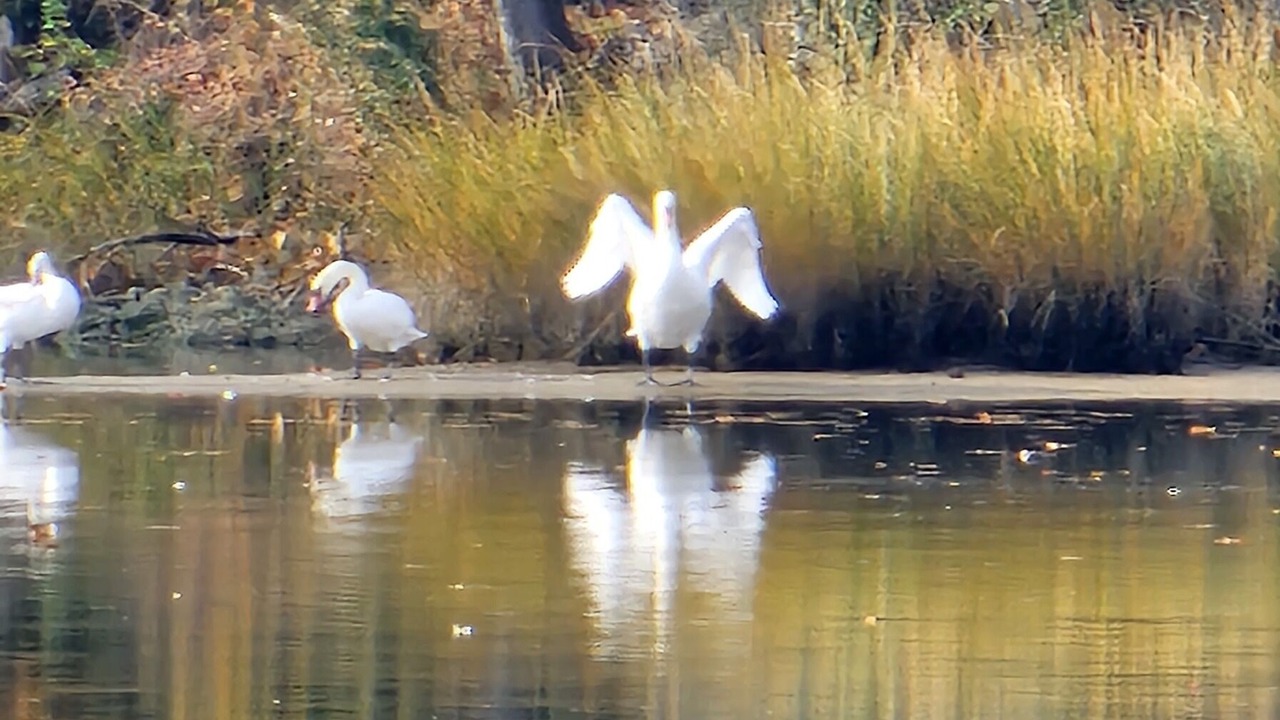 Photo of Outdoor in Mount Holly